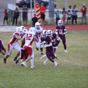 IMG-2338