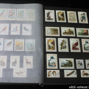 IMG-2242