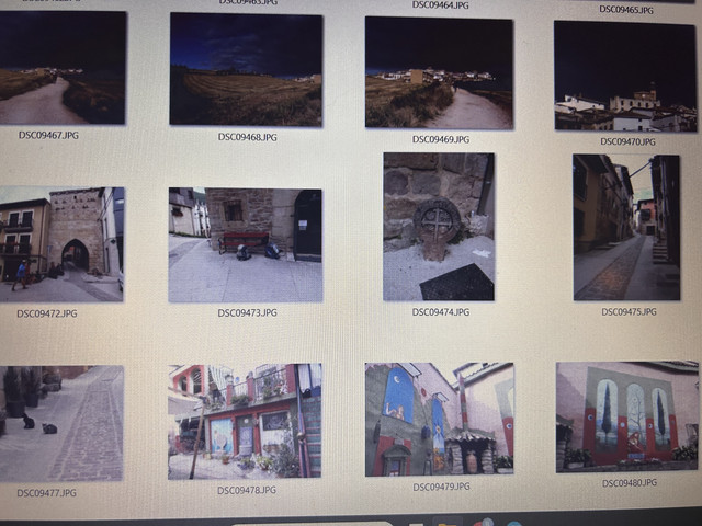 IMG-6353