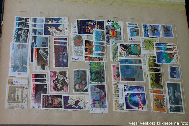 IMG-3478.jpg