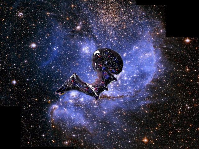 shine-Bright.png