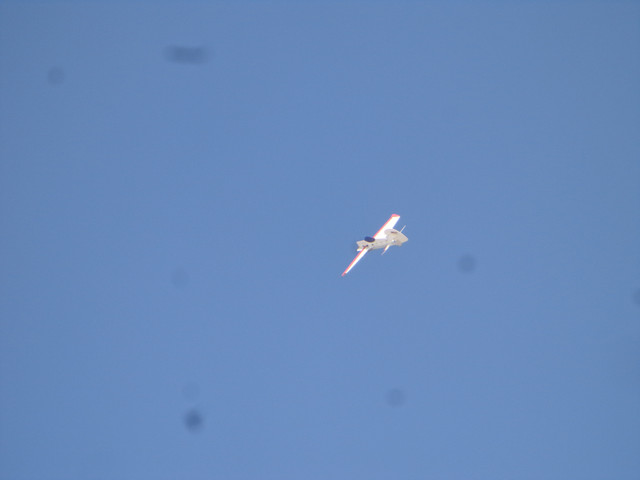 DSC00825.jpg