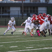 IMG-8833