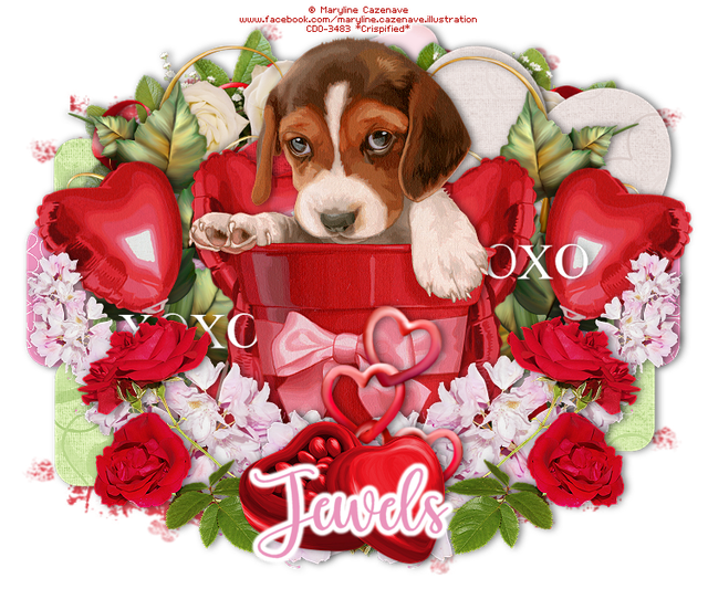 Jewels-4346-F