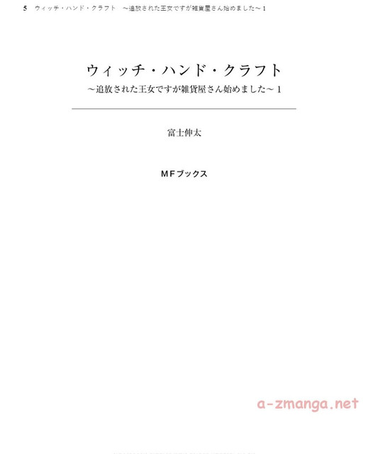 DLRAW-NET-Screenshot-5-Copy