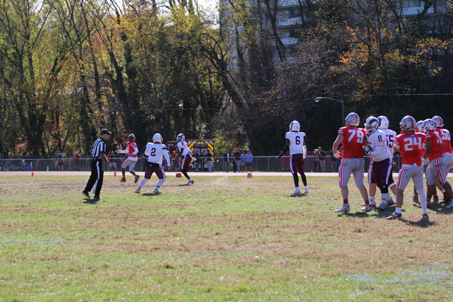 IMG-1154.jpg