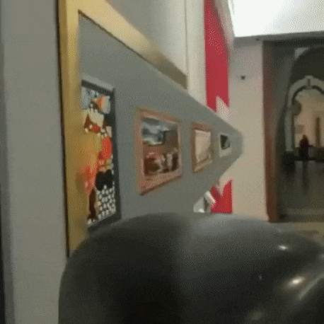https://i.ibb.co/GPp2PTx/ezgif-3-953277d60f.gif