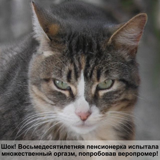 Загружено: Даниил Максимов. Россия Брянск