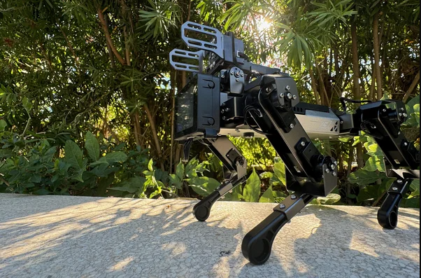 XGo Lite Robot Dog
