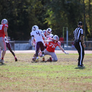 IMG-0564