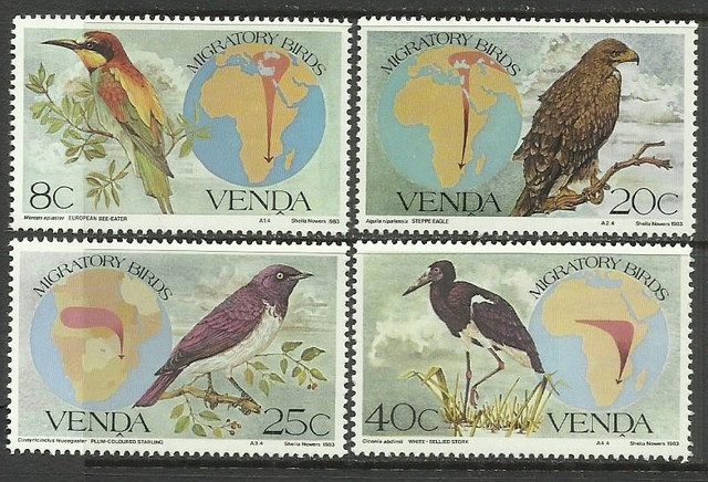 381
