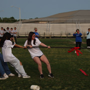 IMG-0065