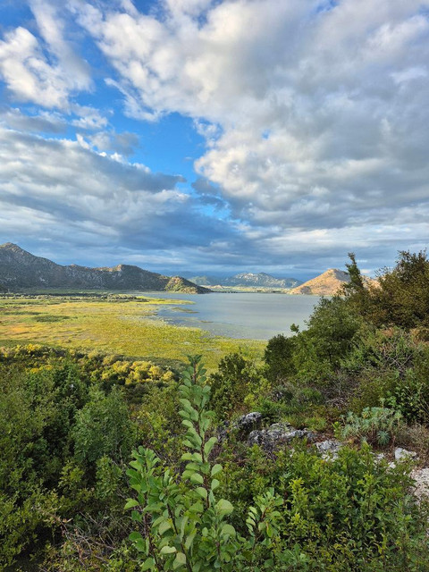 skadar.jpg