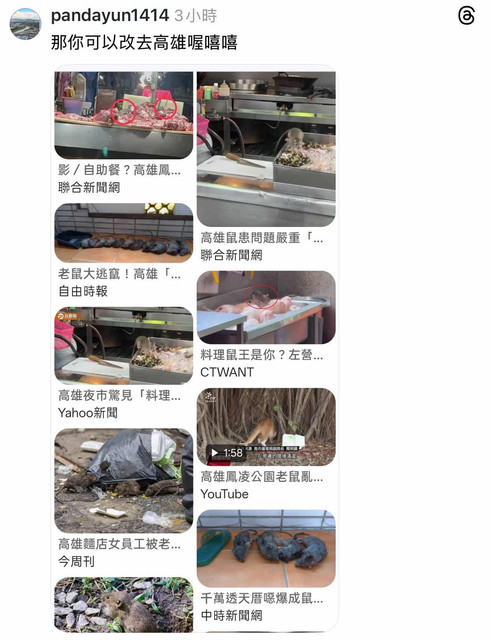 [問卦] 奇怪 怎麼突然台北市就沒老鼠了 - 八卦 - PTT.BEST 批踢踢爆文 3