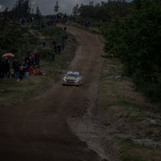 DSC02504