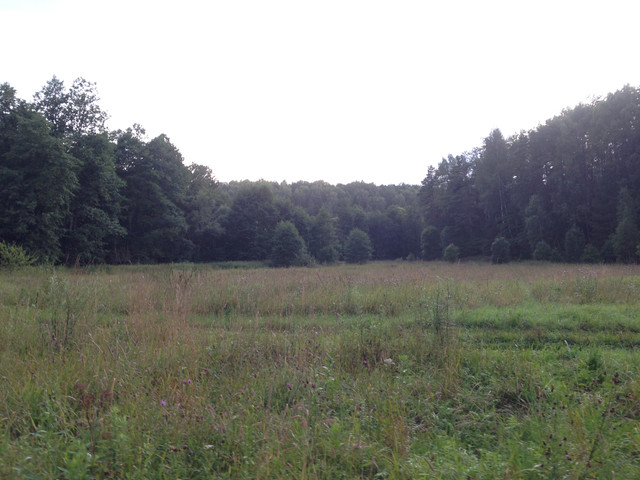 IMG-3975