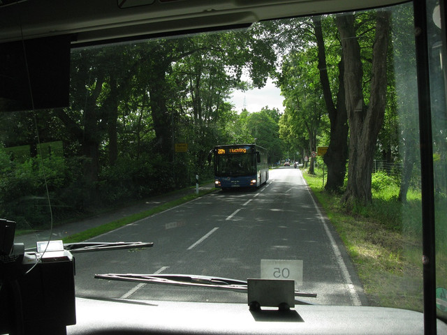 IMG 4649