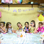 Pic 290