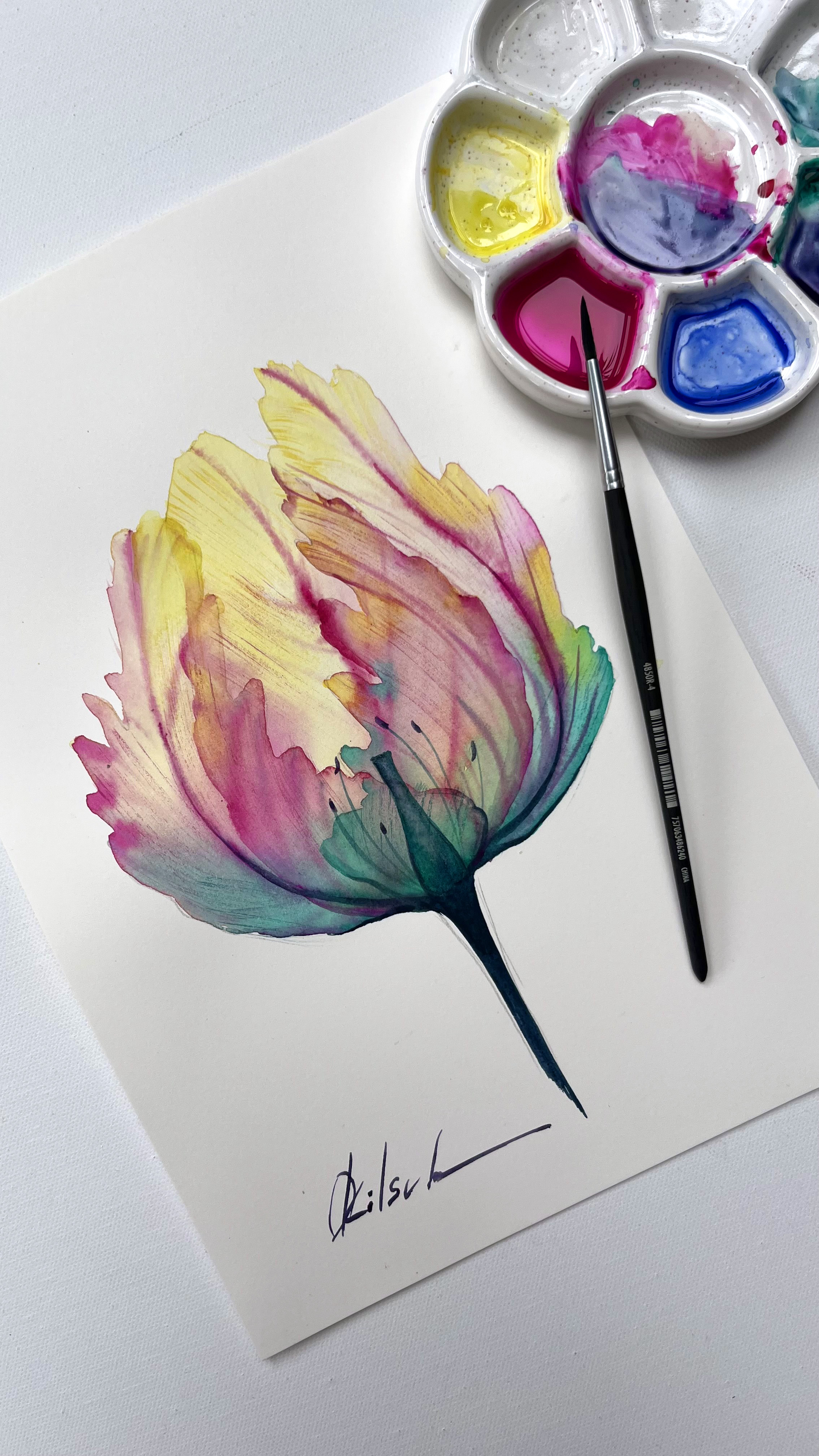 Parrot Tulip