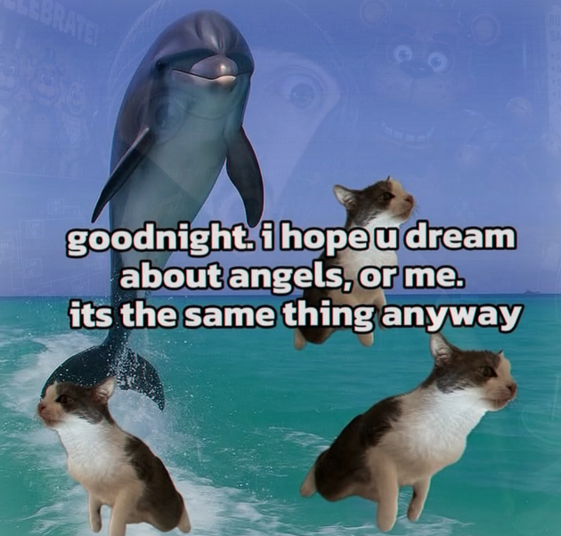 dolladolphin.png