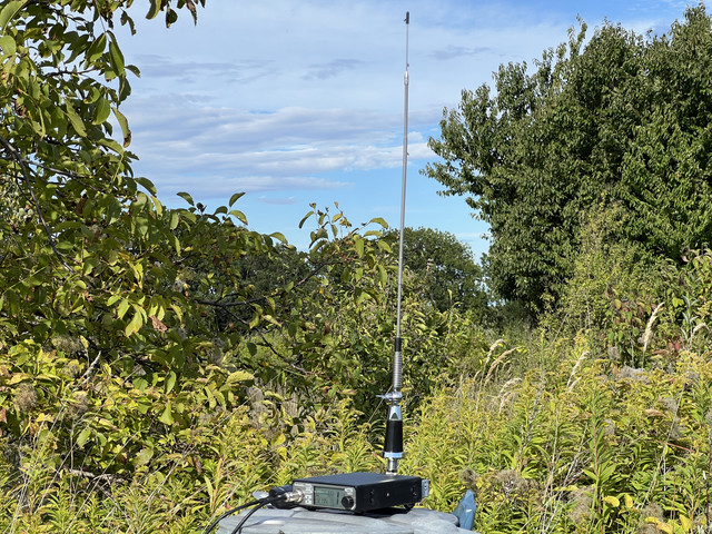 IMG-3343.jpg