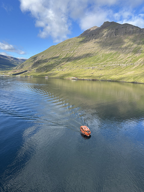 IMG-6479