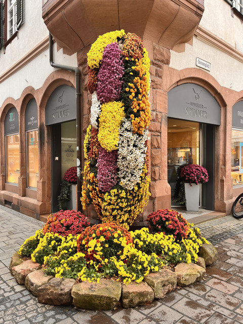16-IMG-9476