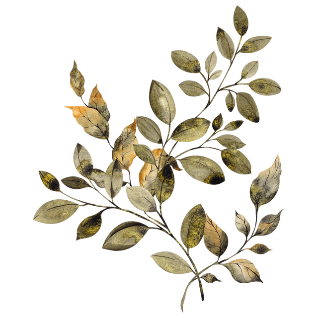 Adobe Stock 537829604.png