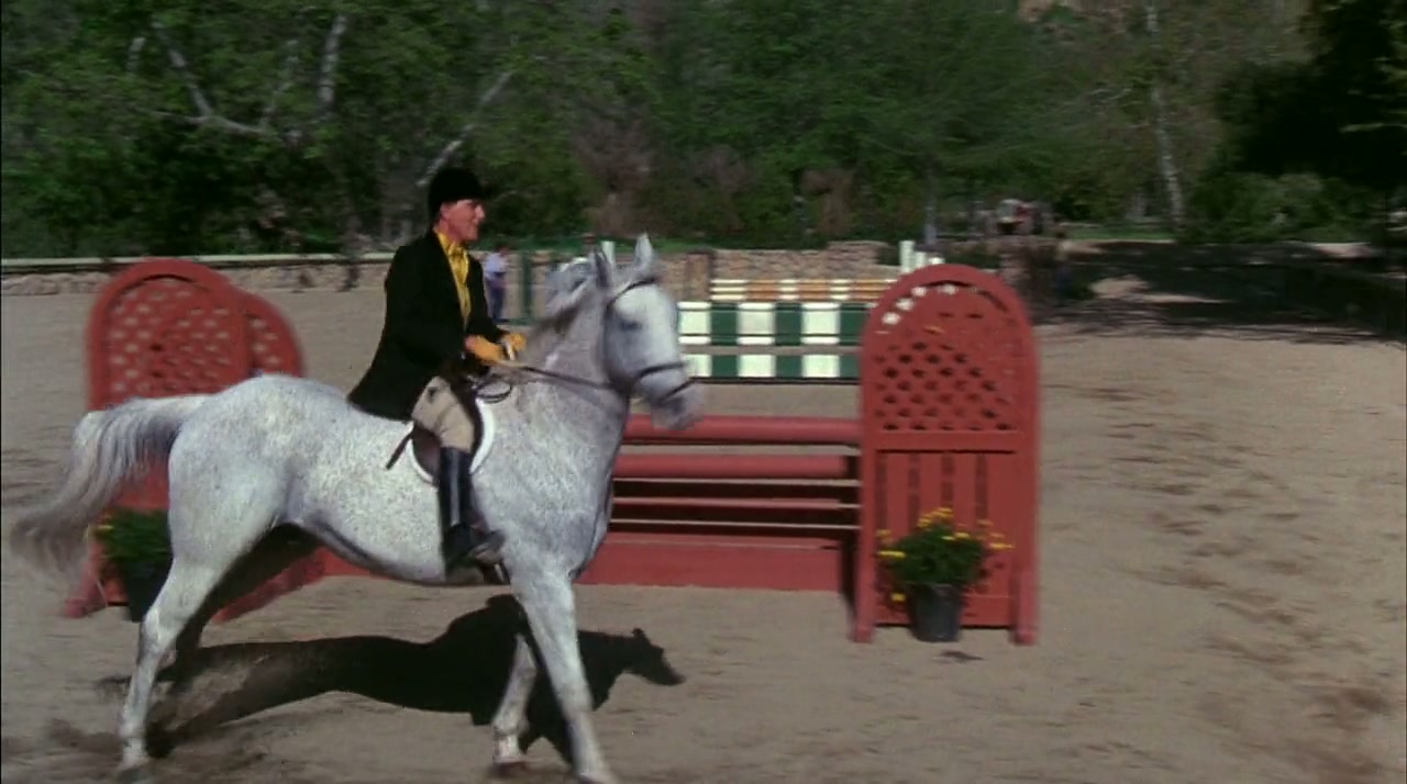 Caddyshack II Screenshot