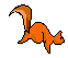 squirrel 8