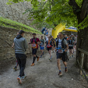 DSC1702