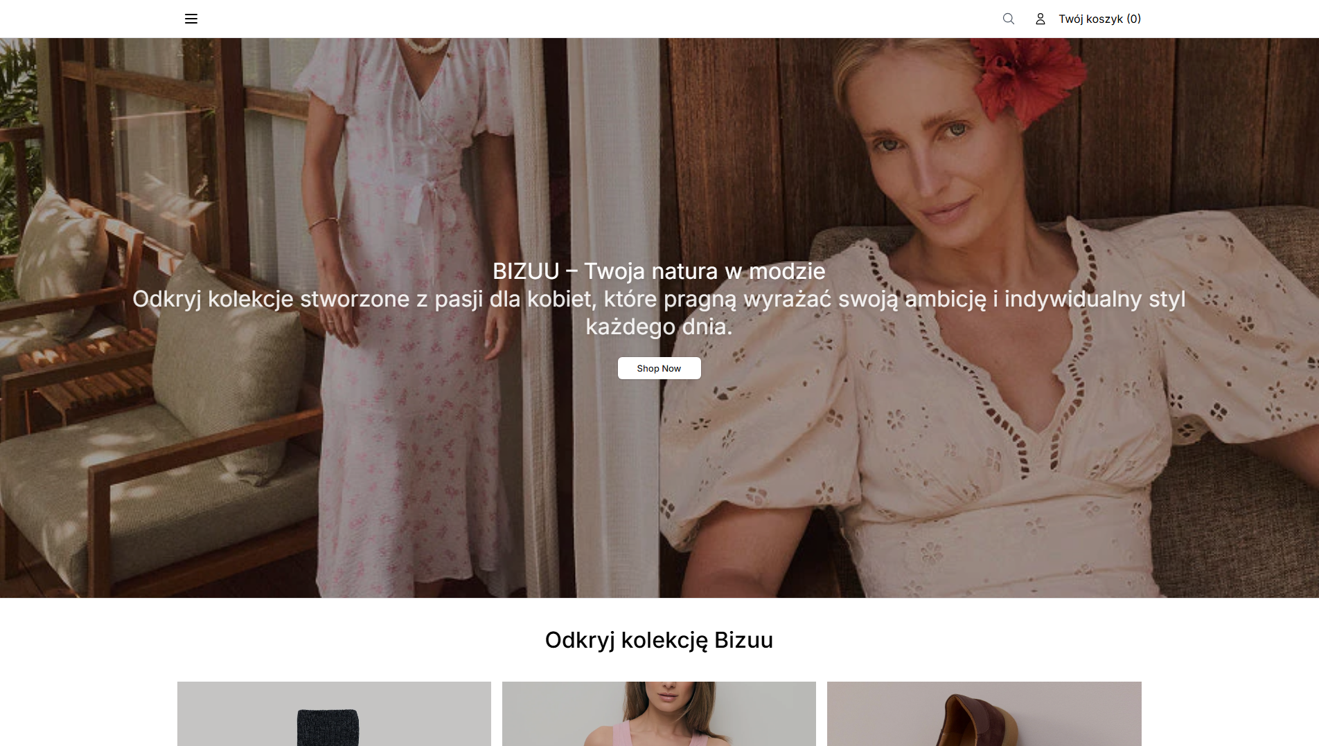 Primary capture · bizuuofficial.shop