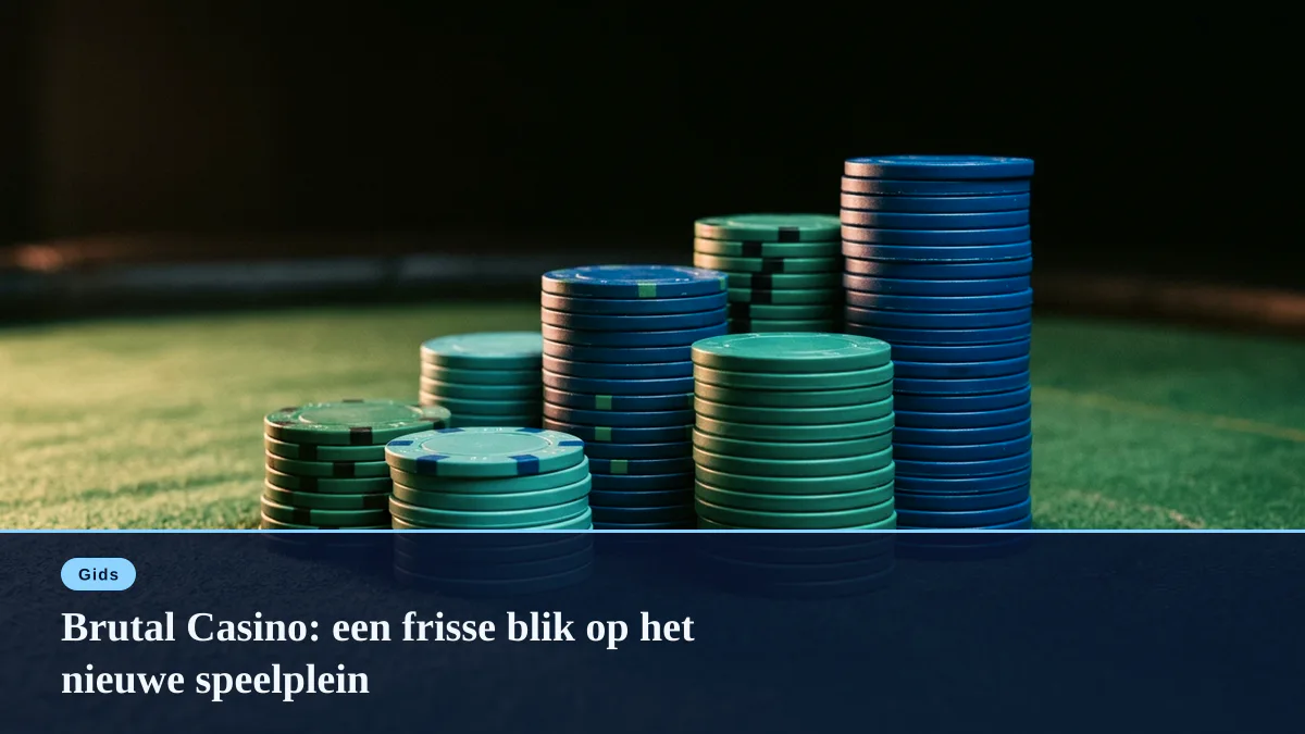 Brutal Casino: een frisse blik op het nieuwe speelplein