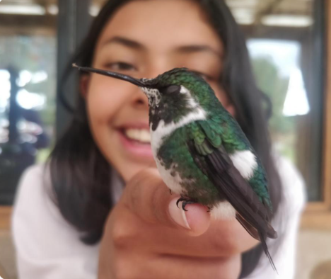 Colibrí en mano