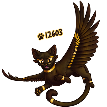 Pet Image