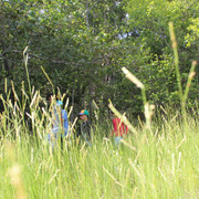 IMG-3934