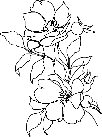 e8ab3bcc0e3046945e44a26dec956a6a.png