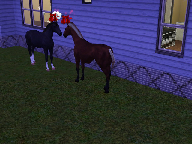 Screenshot-23
