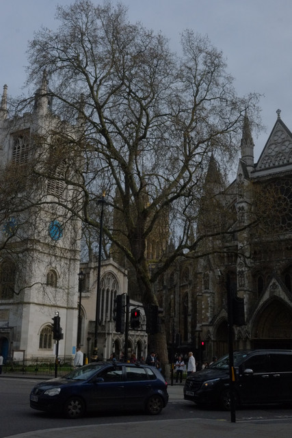 DSCF8839.jpg