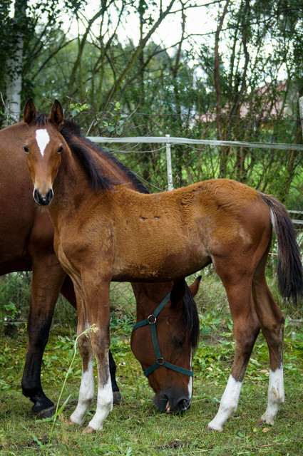 DSC06990.jpg