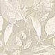 cream12