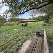IMG 4564
