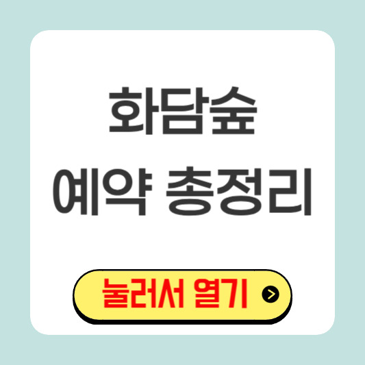 2025년 화담숲 단풍 여행, 예약 필수 꿀팁 공개!