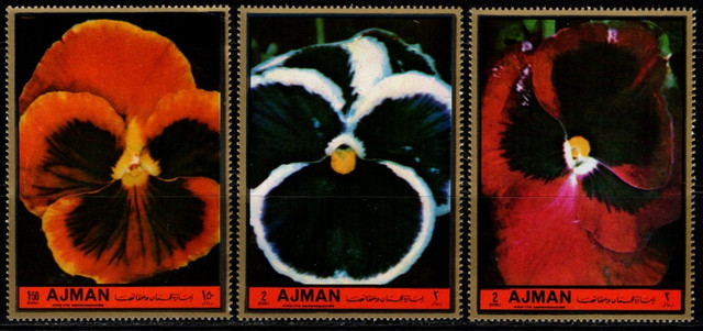 278