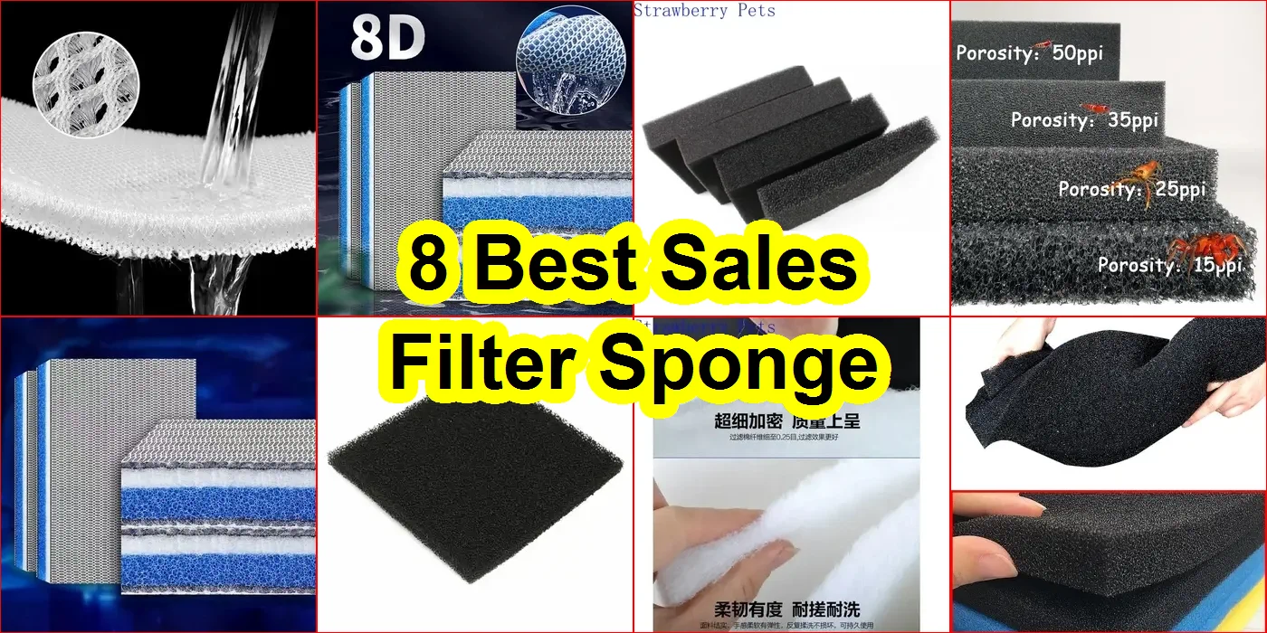 過濾海綿 評價