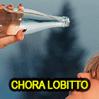 30.gif