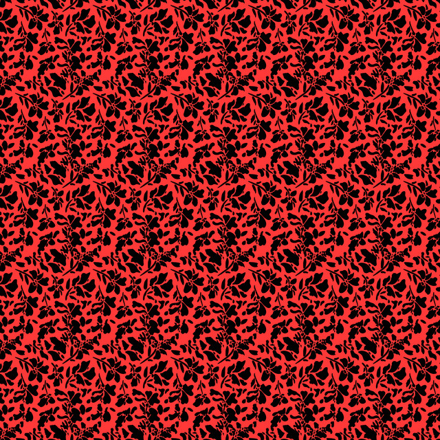 504 A.jpg