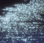 4d6f1770bfecde42f5903f4efd1cccb2.gif