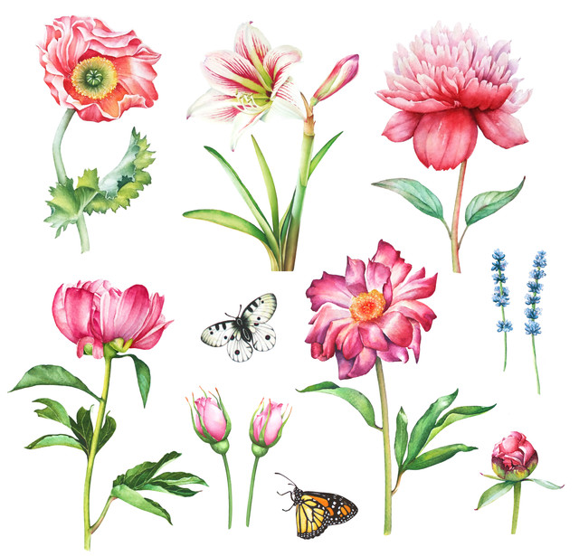 shutterstock 780256354.jpg