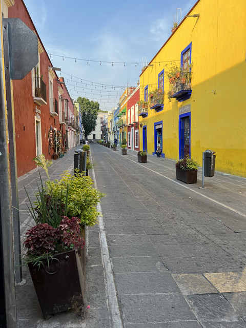 IMG-0798